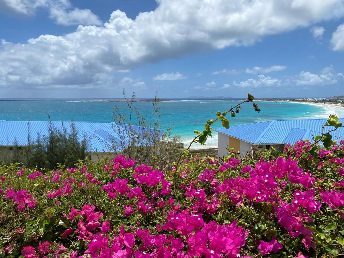 Ocean Sxm Studio Cul de Sac Екстериор снимка